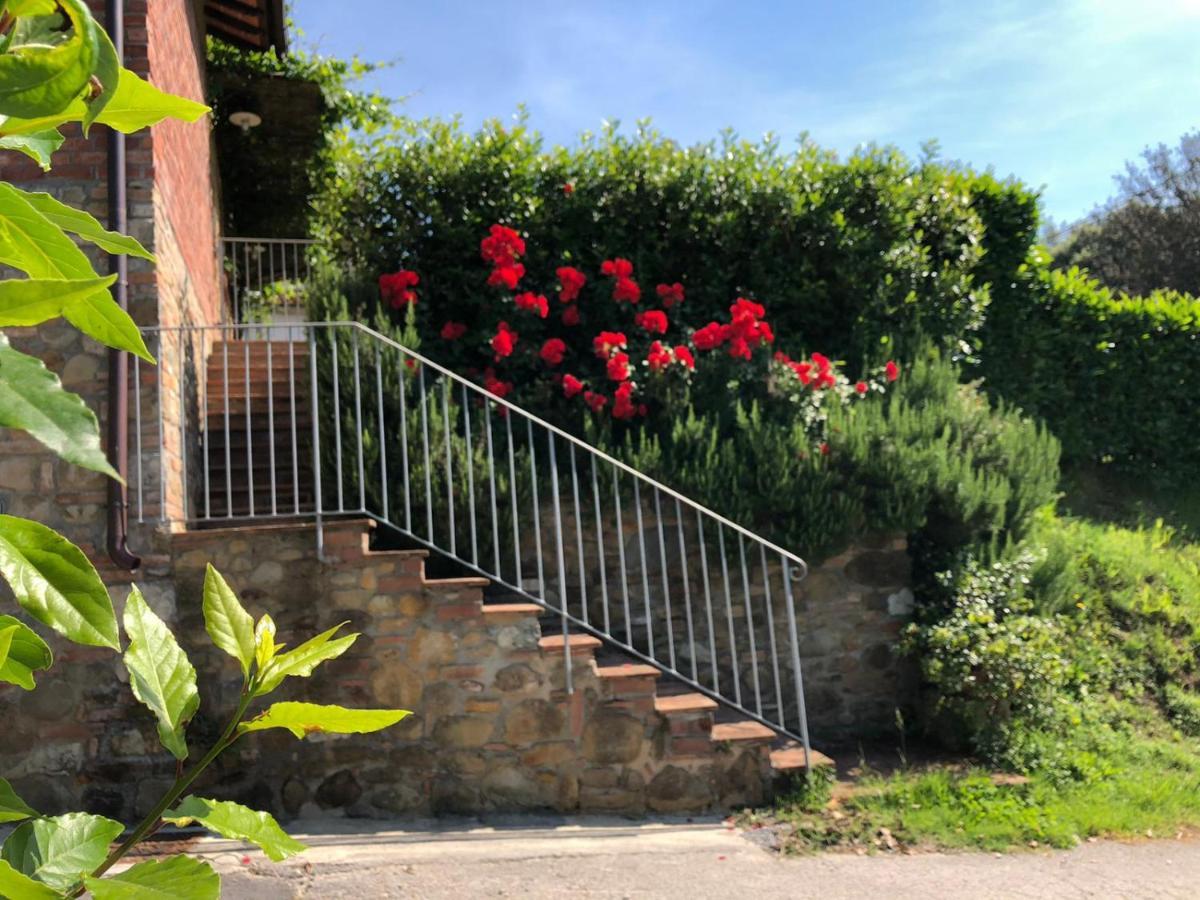 Chille Villa Capannori Exteriör bild